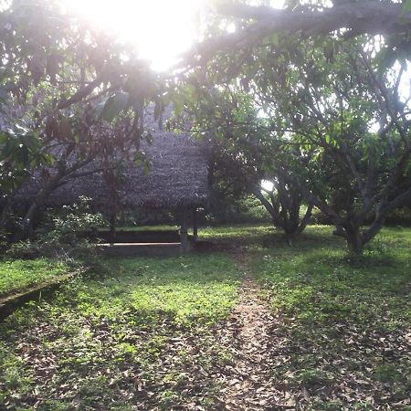 Art Forest Hotel Auroville Bagian luar foto