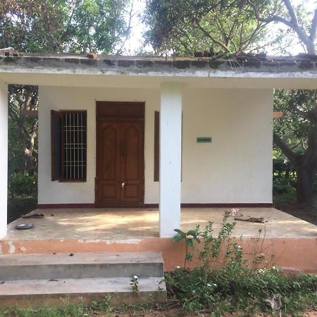 Art Forest Hotel Auroville Bagian luar foto