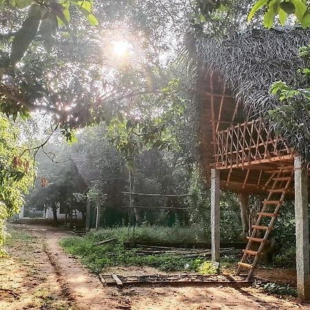 Art Forest Hotel Auroville Bagian luar foto