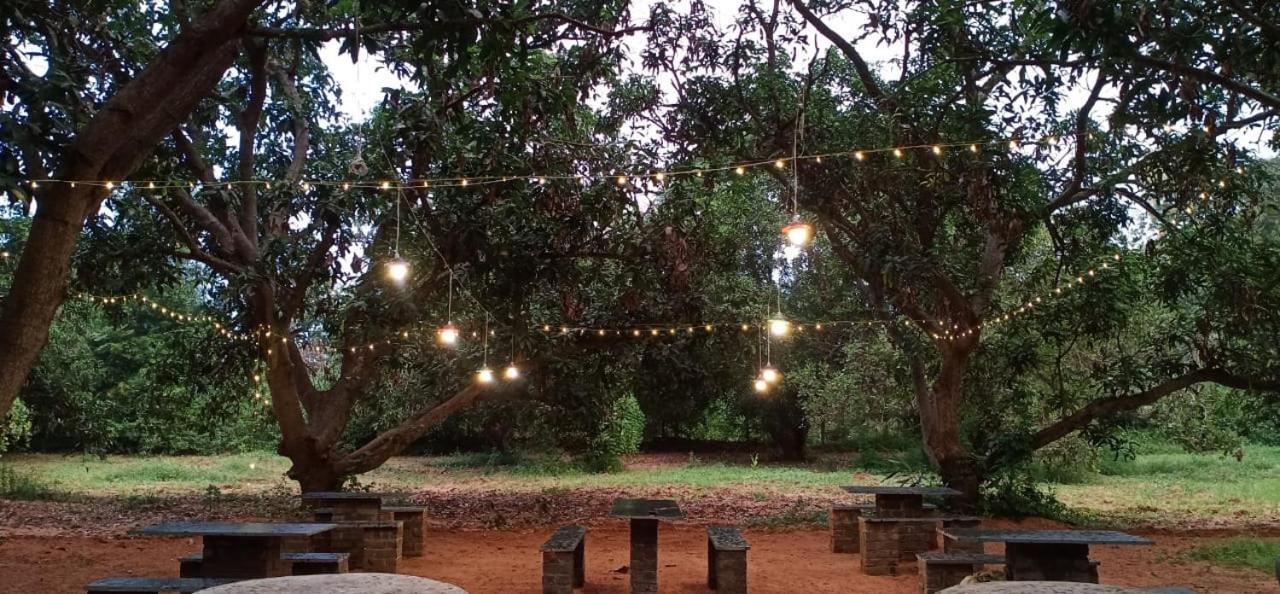 Art Forest Hotel Auroville Bagian luar foto
