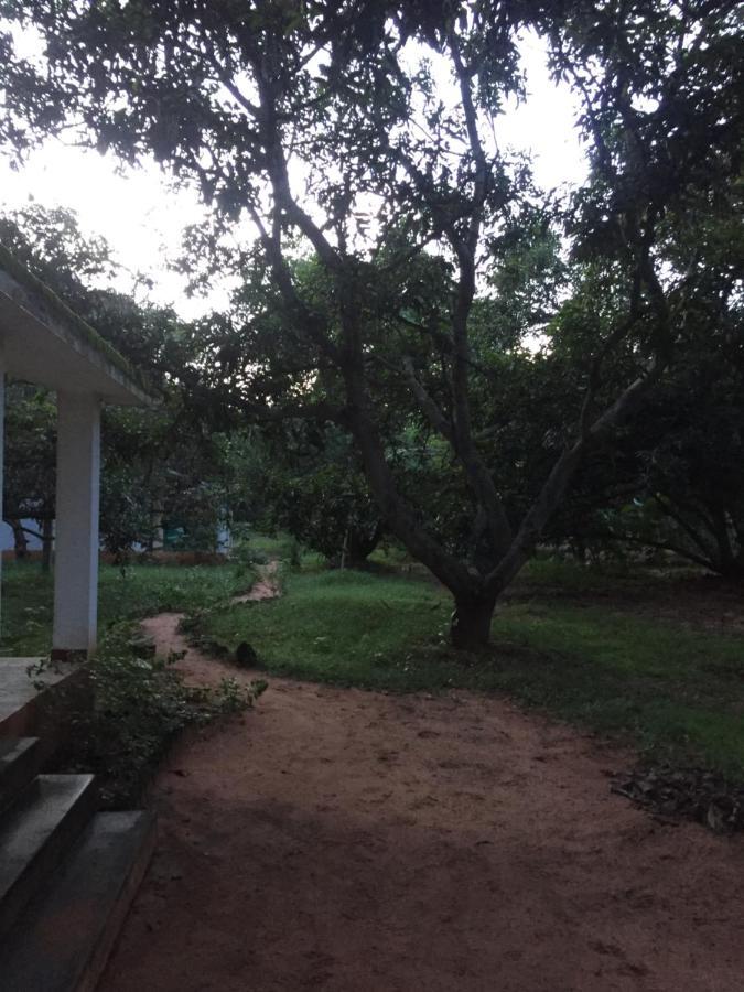 Art Forest Hotel Auroville Bagian luar foto