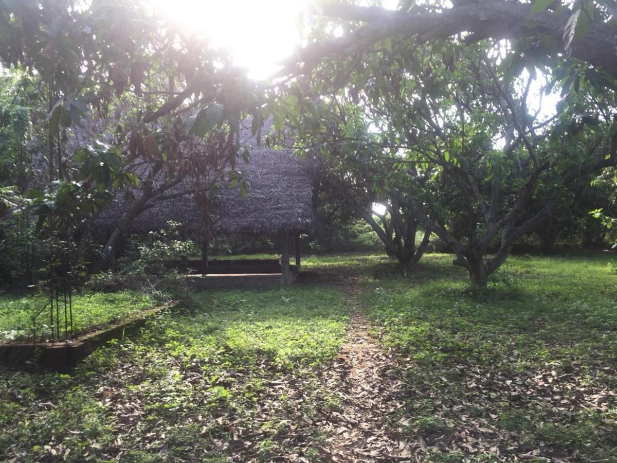 Art Forest Hotel Auroville Bagian luar foto