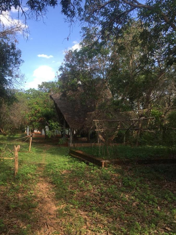 Art Forest Hotel Auroville Bagian luar foto