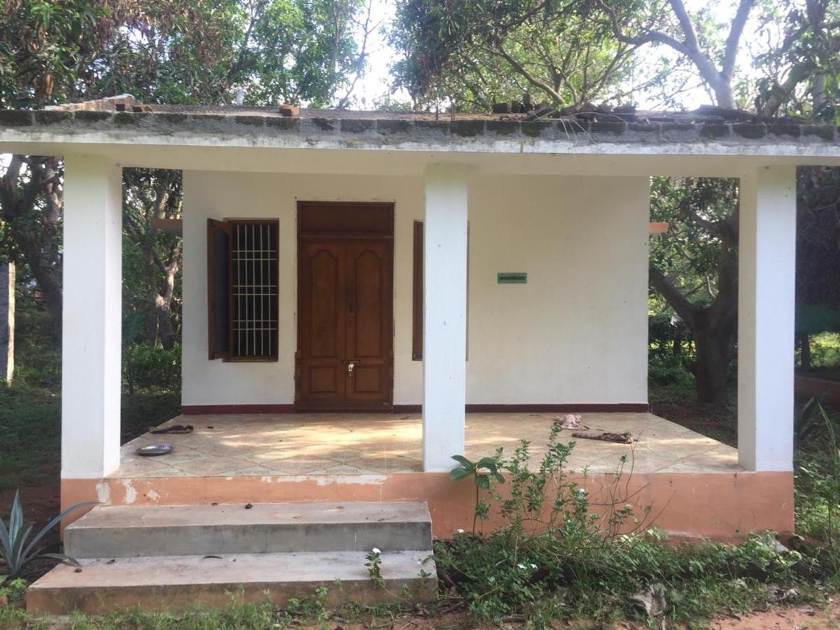 Art Forest Hotel Auroville Bagian luar foto