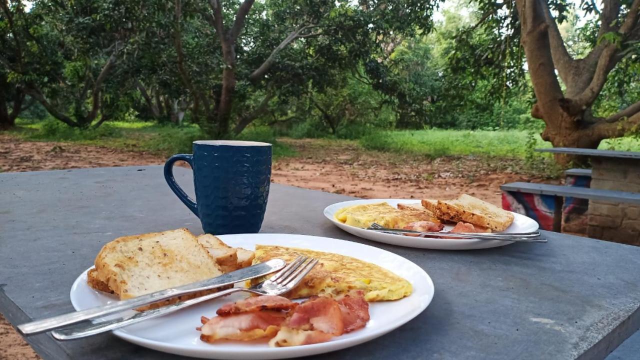 Art Forest Hotel Auroville Bagian luar foto