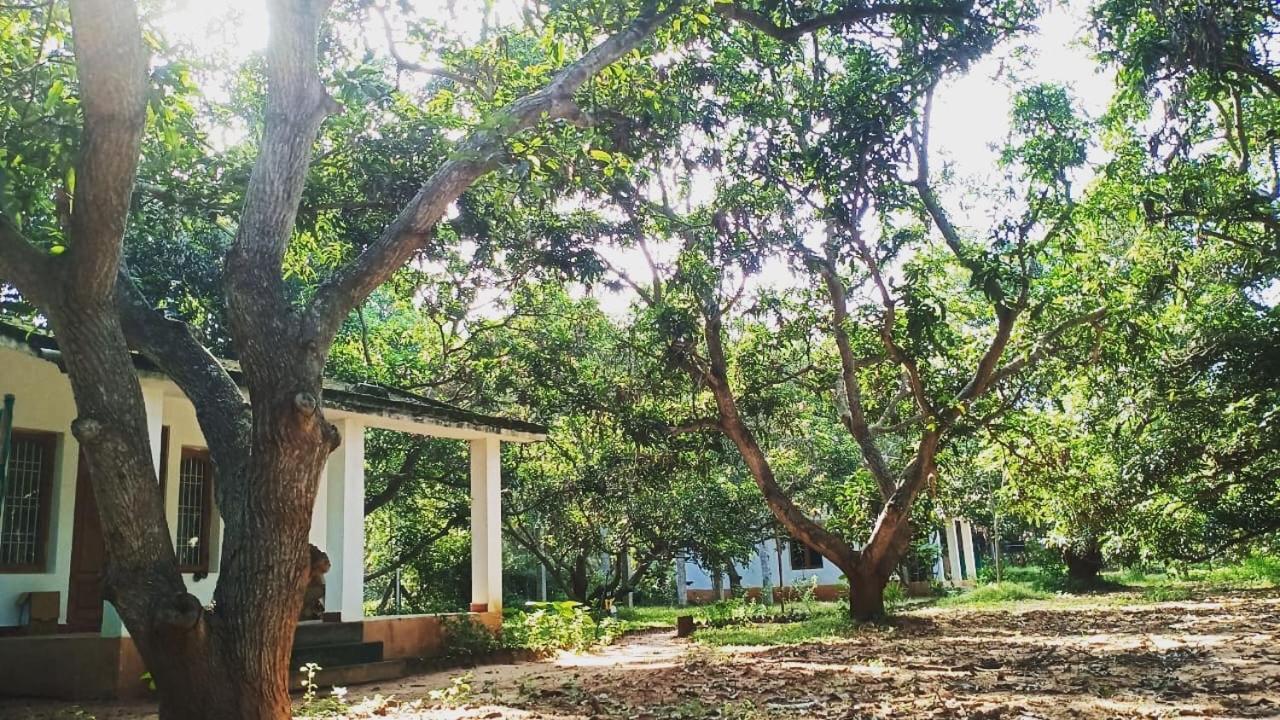 Art Forest Hotel Auroville Bagian luar foto