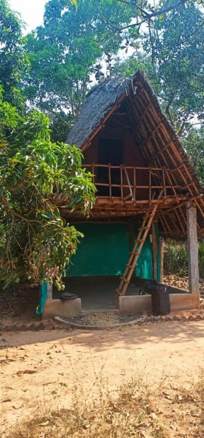 Art Forest Hotel Auroville Bagian luar foto